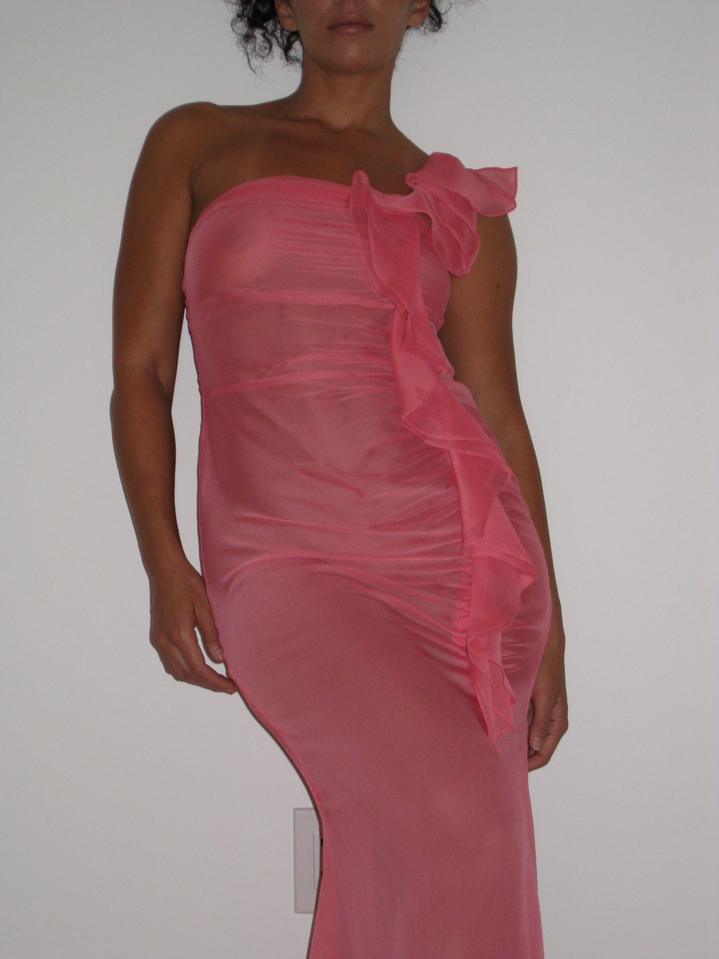 Sheer Ruffle Dress in Pink