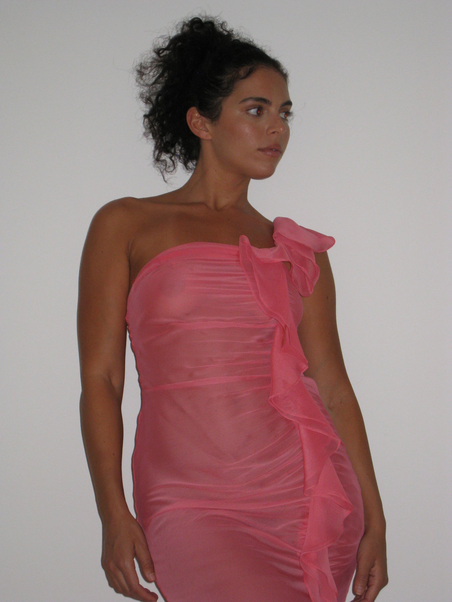 Sheer Ruffle Dress in Pink