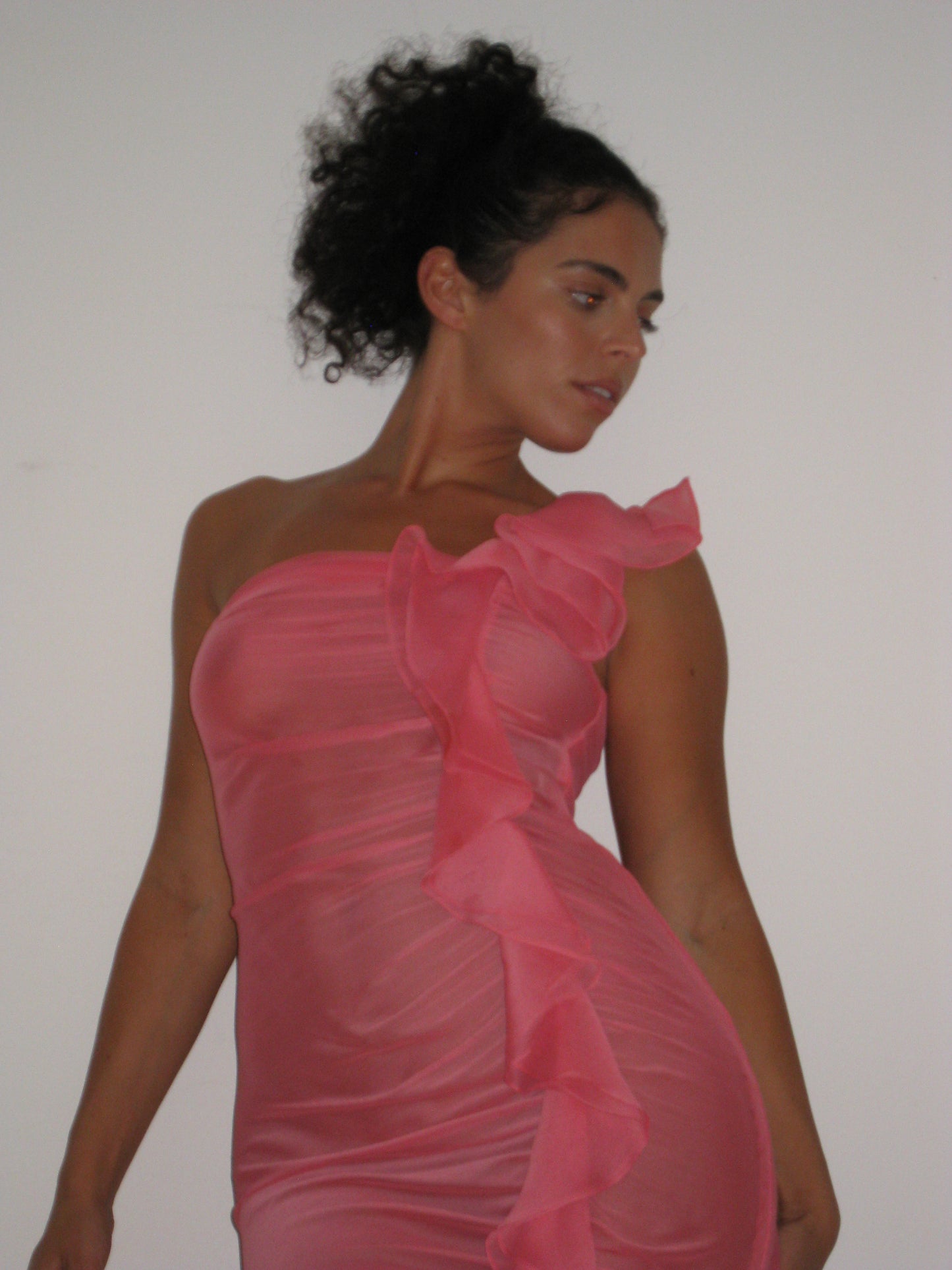 Sheer Ruffle Dress in Pink