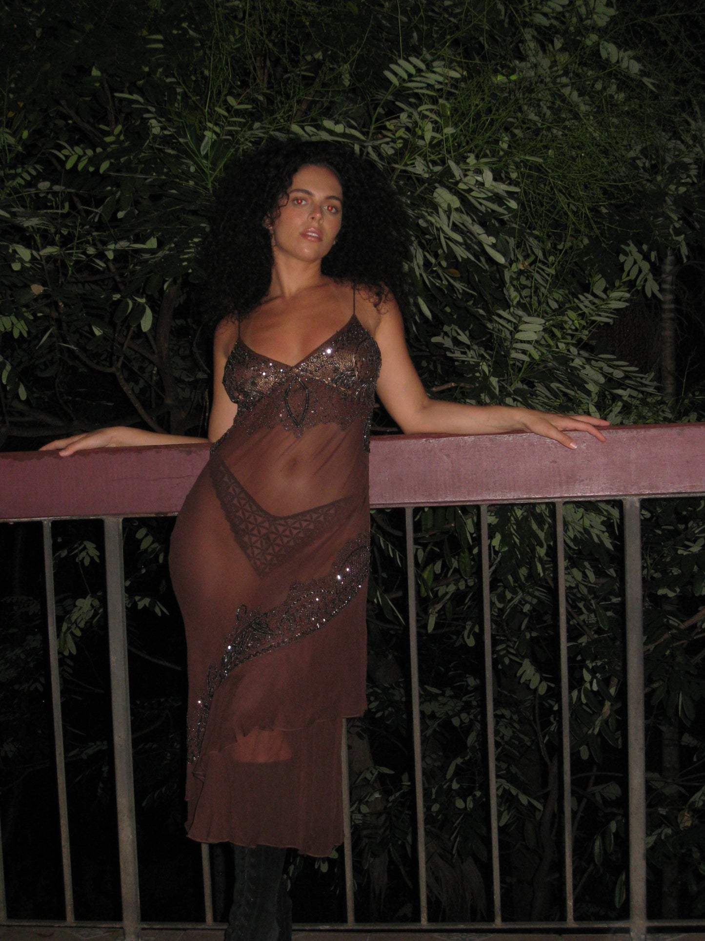 Chocolate Brown Silk Beaded Dress