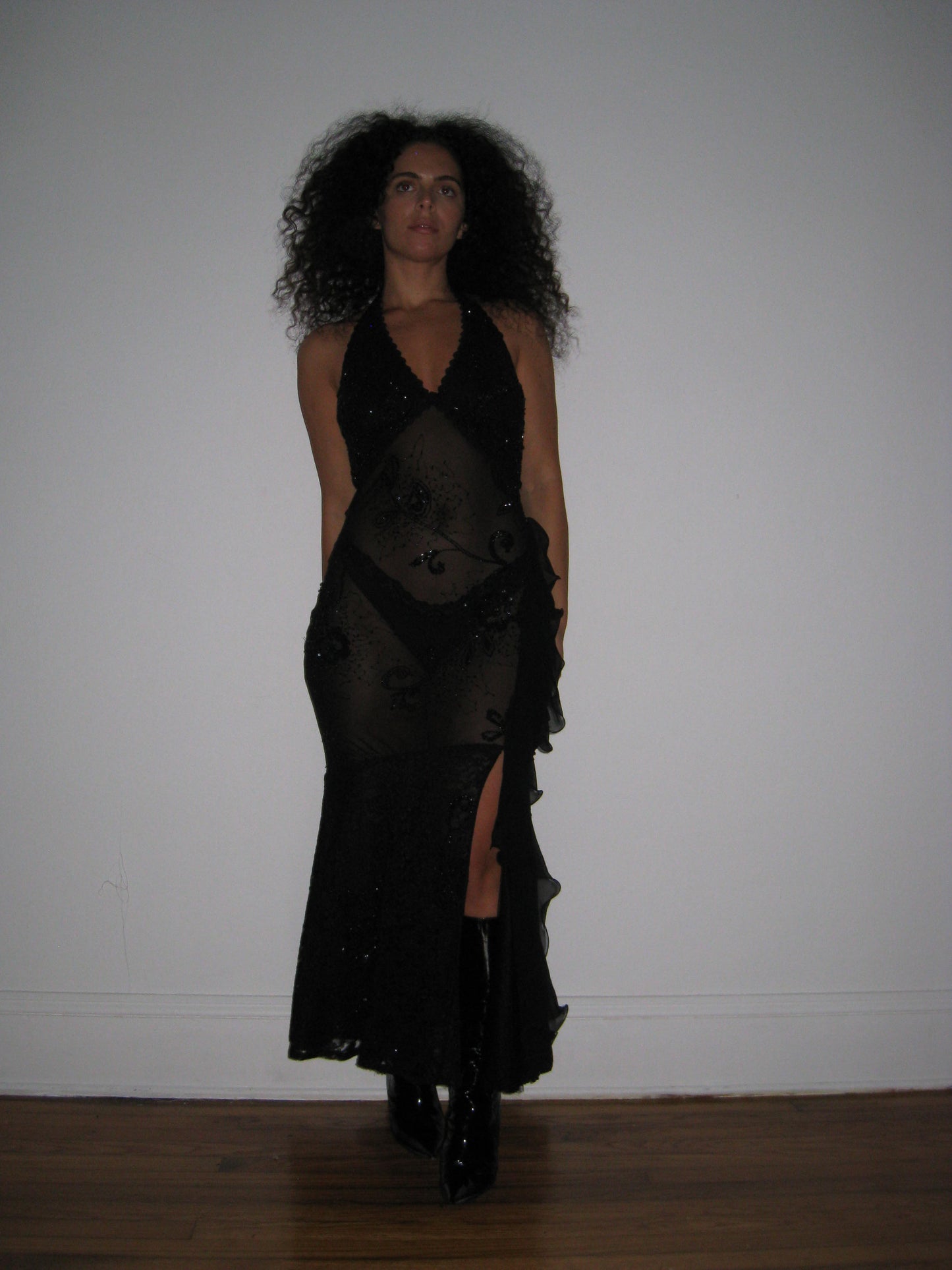 Vintage Sheer Evening Gown