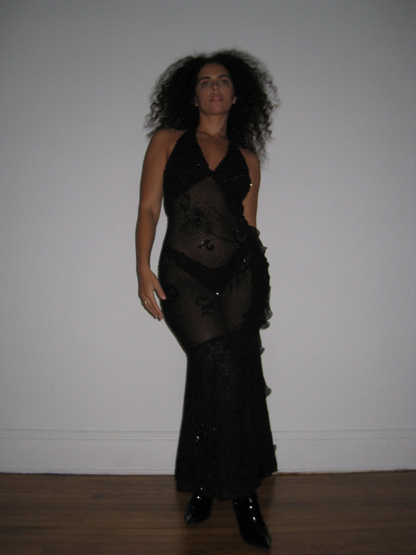 Vintage Sheer Evening Gown