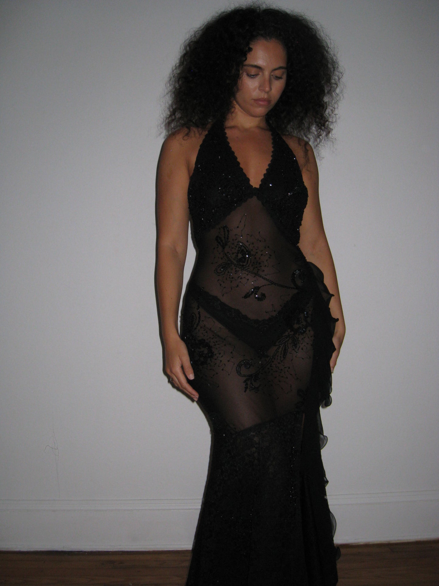 Vintage Sheer Evening Gown