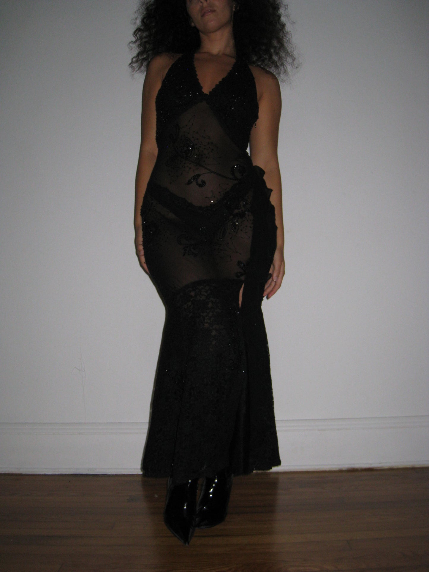 Vintage Sheer Evening Gown