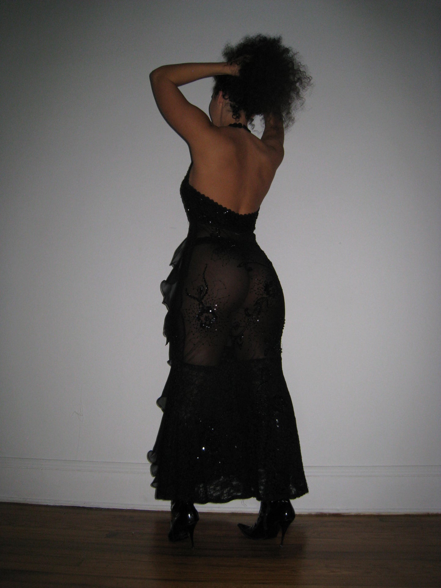 Vintage Sheer Evening Gown